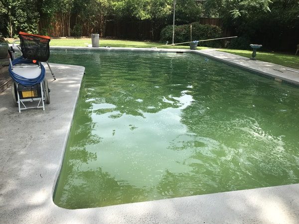A pool filled with green algae