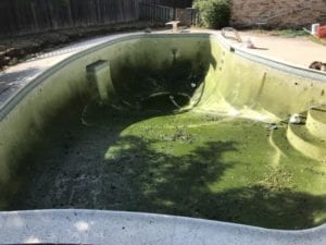 a drained pool full of algae
