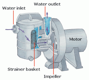A diagram of a residential pool pump.